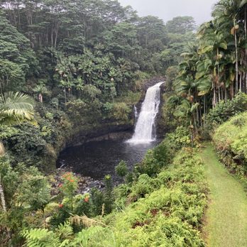 The Inn At Kulaniapia Falls - The view from our breakfast table. At night the waterfall is lighten up by beautifully colored lights. - Bed & Breakfast Near Me - Hilo, Hawaii The Inn At Kulaniapia Falls - The view from our breakfast table. At night the waterfall is lighten up by beautifully colored lights. - Bed & Breakfast Near Me - Hilo, Hawaii