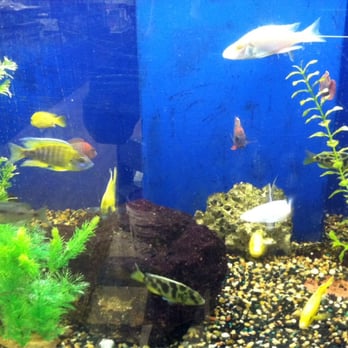 Pets Plus Natural - Pet Stores Near Me - Lawrenceville, New Jersey Pets Plus Natural - Pet Stores Near Me - Lawrenceville, New Jersey