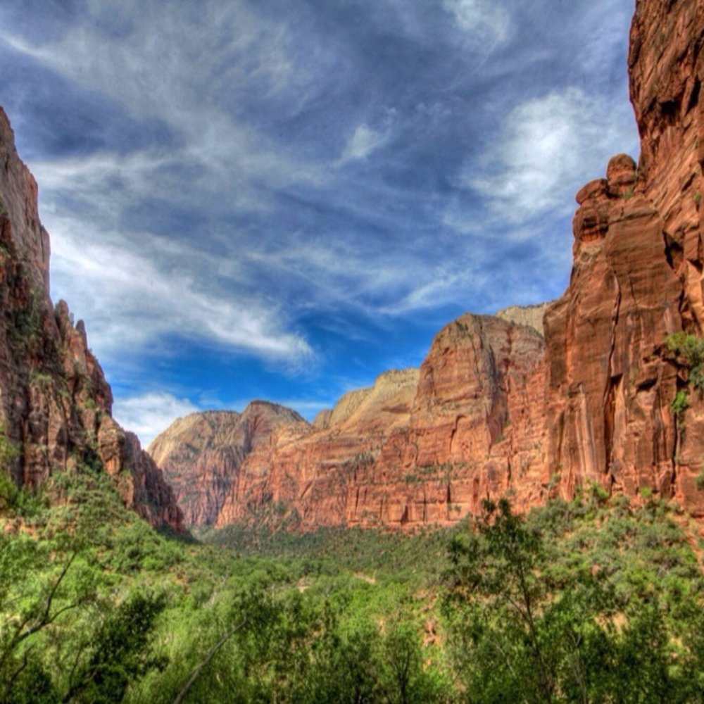Observation Point - Hiking Near Me - Springdale, Utah Observation Point - Hiking Near Me - Springdale, Utah