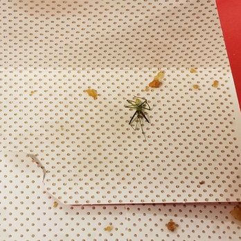 Chick-fil-A - This was a pitcure of the dead baby praying mantis found in the bottom of my daughters chicken strips! - Fast Food Near Me - Bangor, Maine Chick-fil-A - This was a pitcure of the dead baby praying mantis found in the bottom of my daughters chicken strips! - Fast Food Near Me - Bangor, Maine