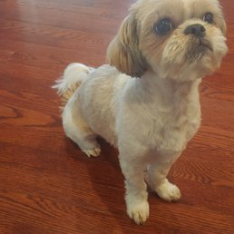 After haircut