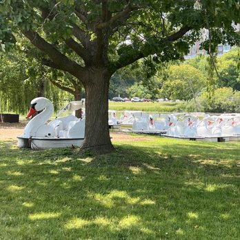 Veteran's Park - Swan paddle boats - Parks Near Me - Milwaukee, Wisconsin