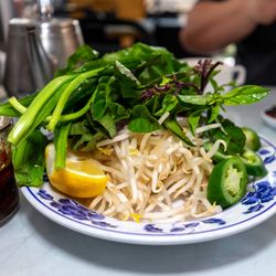 Sawtooth, thai basil, sprouts, lemon and peppers