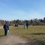 Photo of Waldspielplatz Steinhofgründe
