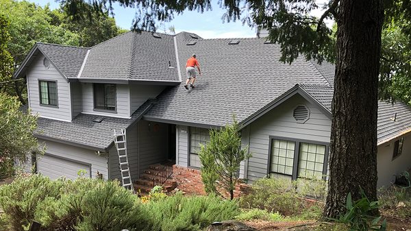 Palmer Roofing Service