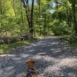 Wissahickon Park