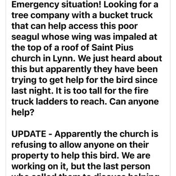 St Pius V School - Newhouse Wildlife's post in real time of the emergency situation unfolding - Religious Organizations Near Me - Lynn, Massachusetts St Pius V School - Newhouse Wildlife's post in real time of the emergency situation unfolding - Religious Organizations Near Me - Lynn, Massachusetts