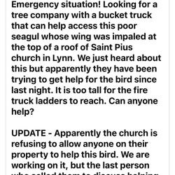 St Pius V School - Newhouse Wildlife's post in real time of the emergency situation unfolding