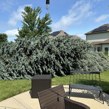 Luis M Tree Service and Landscaping - Fallen trees - Landscaping Near Me Luis M Tree Service and Landscaping - Fallen trees - Landscaping Near Me