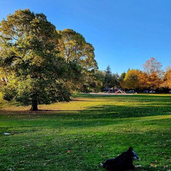 Fernhill Park Off Leash Park - Parks Near Me - Portland, Oregon Fernhill Park Off Leash Park - Parks Near Me - Portland, Oregon