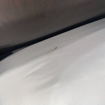 Comfort Suites - After they "cleaned" and I asked them to change sheets! - Hotels Near Me - Bay City, Texas Comfort Suites - After they "cleaned" and I asked them to change sheets! - Hotels Near Me - Bay City, Texas