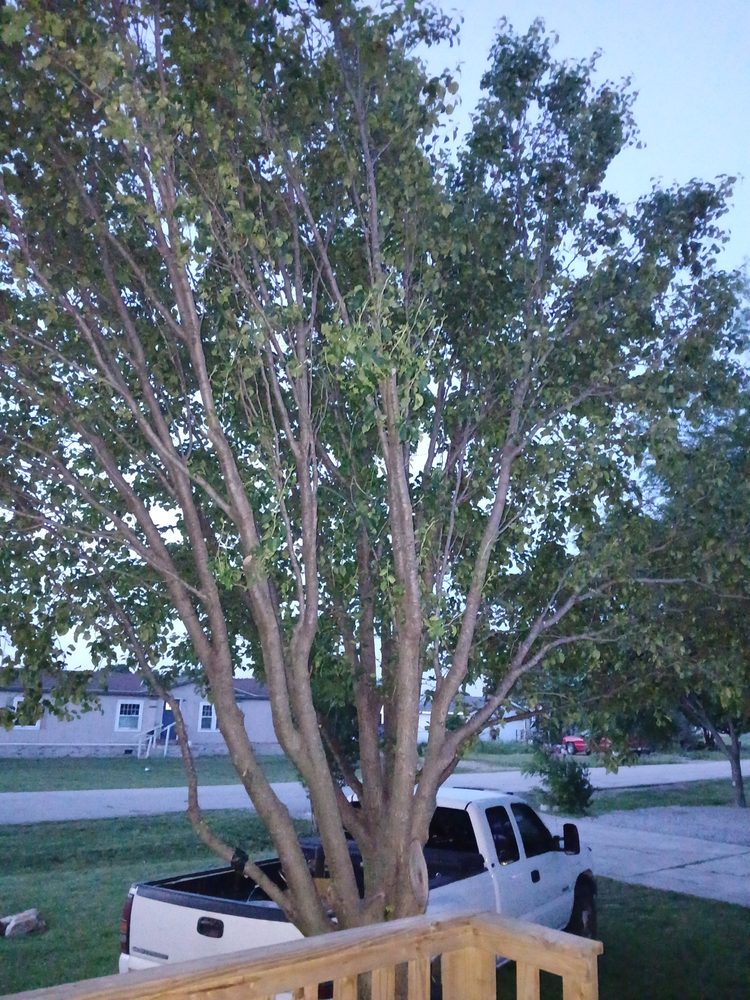 Slide of NTX Tree Service