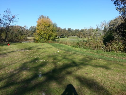 STEPHEN F AUSTIN GOLF COURSE Updated October 2025 1130 Park Rd 38