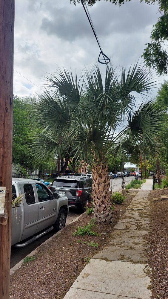 Knotty By Nature Tree Care - tree service in San Antonio, TX