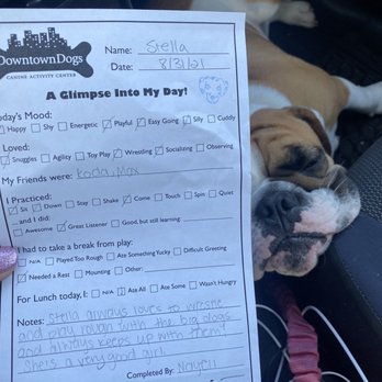 Downtown Dogs - Summary of her day - Pet Boarding Near Me - San Jose, California