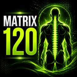Total Body Matrix - The fullest Matrix Method experience, with extended time for comprehensive full-body work, deeper assessment, and individualized treatment.