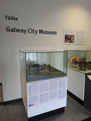 Galway City Museum by null