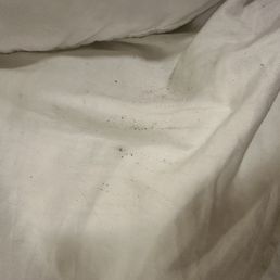 Blood spots on bed from bugs Blood spots on bed from bugs