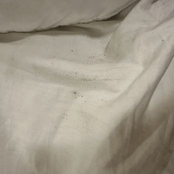 Heritage Inn La Mesa - Blood spots on bed from bugs - Hotels Near Me - La Mesa, California Heritage Inn La Mesa - Blood spots on bed from bugs - Hotels Near Me - La Mesa, California