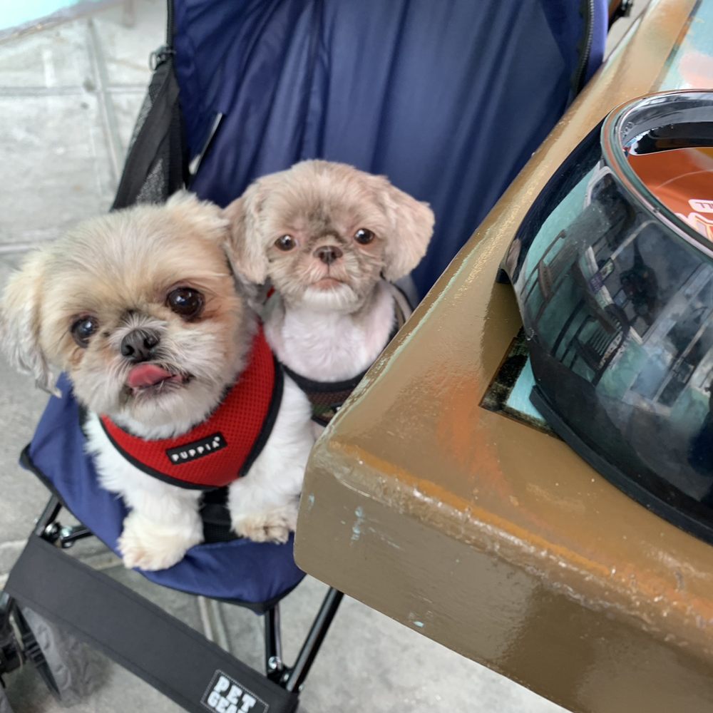 Moe Moons - Pet friendly place! - New American Near Me - Myrtle Beach, South Carolina