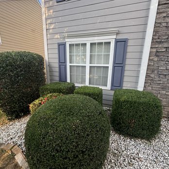 Mr Lawns - Bush Trim/ Shaping - Lawn Services Near Me