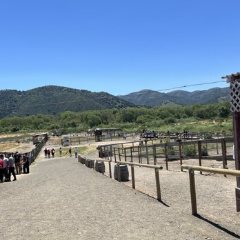 Ostrichland USA - Attraction Farms Near Me - Solvang, California Ostrichland USA - Attraction Farms Near Me - Solvang, California