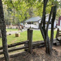 Bonanza King Resort - The Pavilion on site for gathering