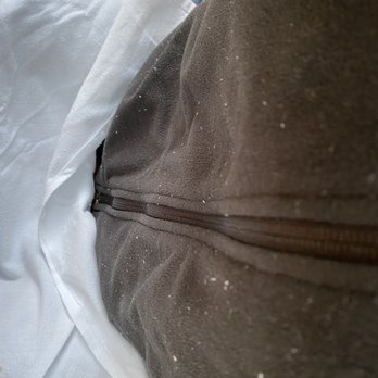 Octavia - Beware of napkin shedding (-: - New American Near Me - San Francisco, California