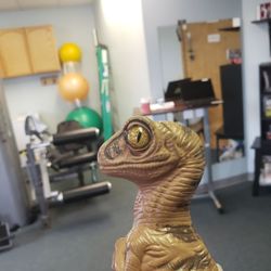 NovaCare Rehabilitation - Willoughby Hills - Bob the Raptor says "These physical therapy mammals are good at making joints work again!"