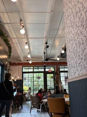 Novela Cafe Social by null