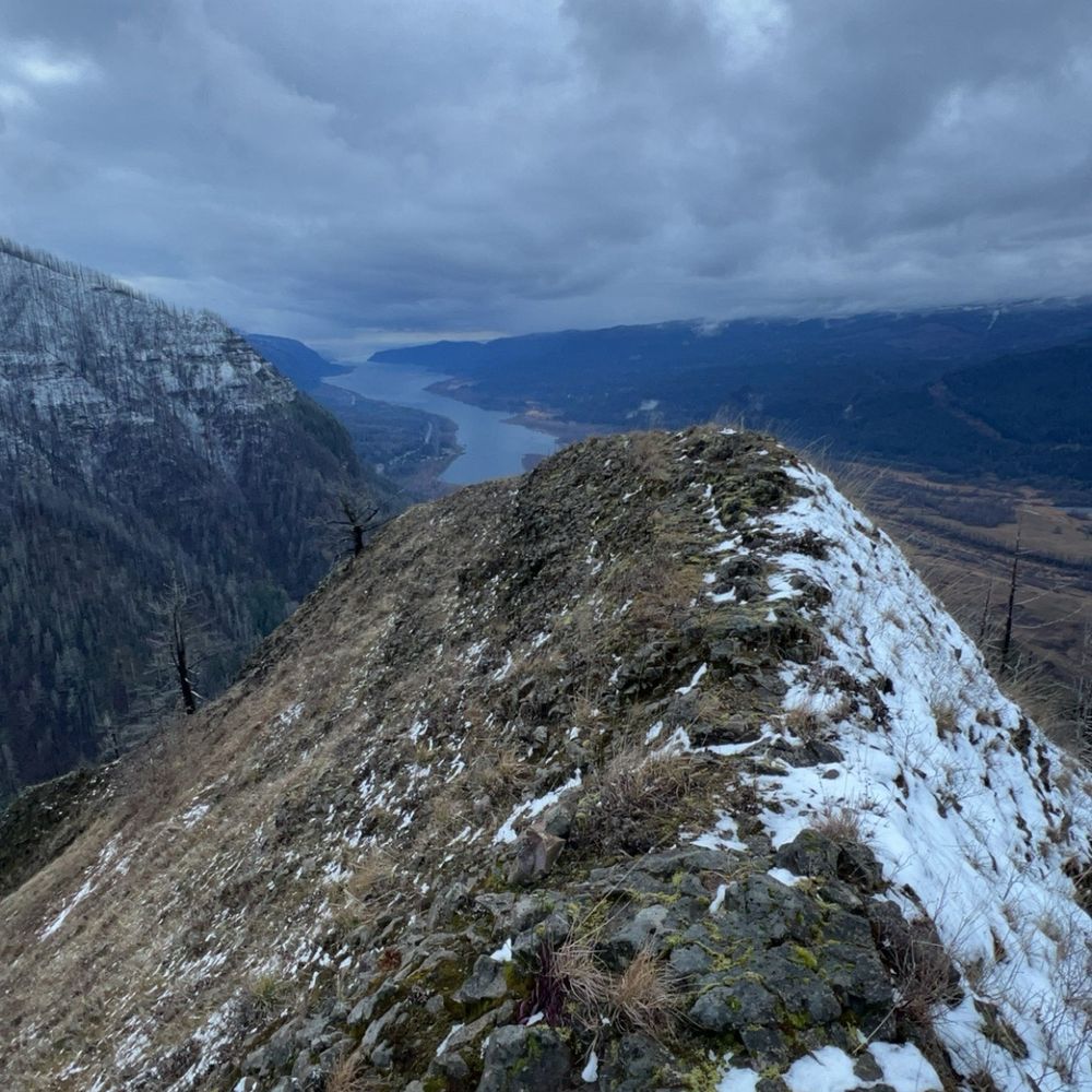 Munra Point Trail - Up top. January 2025 - Hiking Near Me Munra Point Trail - Up top. January 2025 - Hiking Near Me