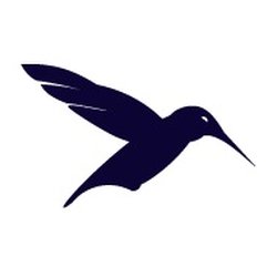 Chasing Nectar Digital Solutions