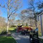 Photo of Ladner Tree Service