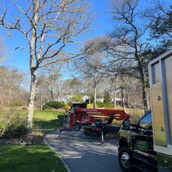 Ladner Tree Service