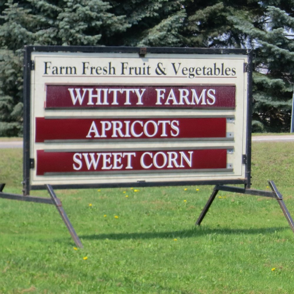 Whitty Farms - a sign for a farm - Grocery Near Me - St Catharines, Ontario Whitty Farms - a sign for a farm - Grocery Near Me - St Catharines, Ontario