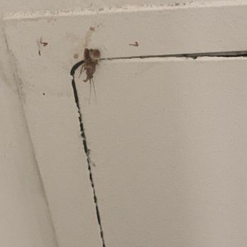 Santa Fe Lofts - Roaches coming out of an old access box to crawl space they never sealed - Apartments Near Me - Los Angeles, California Santa Fe Lofts - Roaches coming out of an old access box to crawl space they never sealed - Apartments Near Me - Los Angeles, California