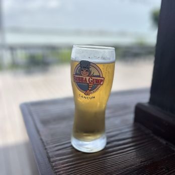 Bubba Gump Shrimp Co. - Seafood Near Me - Cancún, ROO Bubba Gump Shrimp Co. - Seafood Near Me - Cancún, ROO