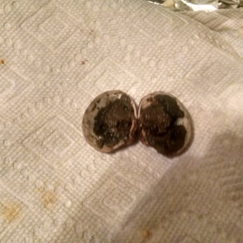 Oyster Bar - A closed clam filled with muck that ruined what was left of my bouillabaisse. Disgusting. - Seafood Near Me - Sparks, Nevada Oyster Bar - A closed clam filled with muck that ruined what was left of my bouillabaisse. Disgusting. - Seafood Near Me - Sparks, Nevada