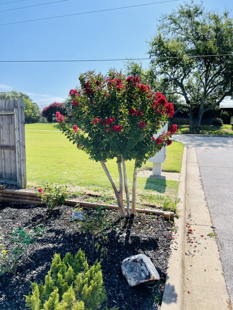 SS LAWN CARE Updated May 2024 Longview, Texas Lawn Services