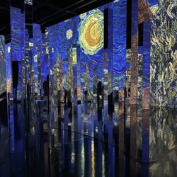 Immersive Van Gogh Exhibit Denver