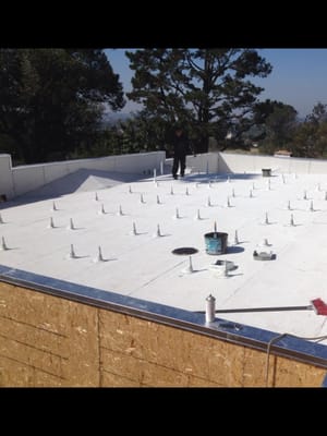 Commercial Roofs - Commercial - We provide top-quality installation for businesses and apartments, and can have your new roofing installed in no time at all.
Residential - Our roofers are professional. They can assist with leak repair and roof remodeling, allowing you to get the exact look you want.
Gutters - We specialize in seamless rain gutters, which will help prevent leaks while adhering to the aesthetic standards of your property. Commercial Roofs - Commercial - We provide top-quality installation for businesses and apartments, and can have your new roofing installed in no time at all.
Residential - Our roofers are professional. They can assist with leak repair and roof remodeling, allowing you to get the exact look you want.
Gutters - We specialize in seamless rain gutters, which will help prevent leaks while adhering to the aesthetic standards of your property.