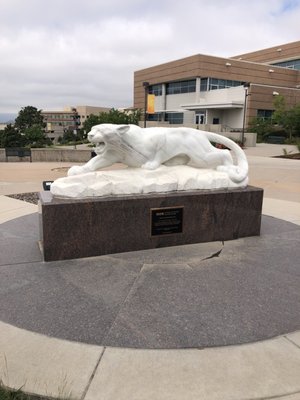 University of Colorado Colorado Springs