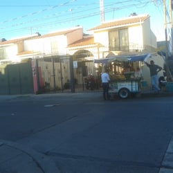 Gori Bronco