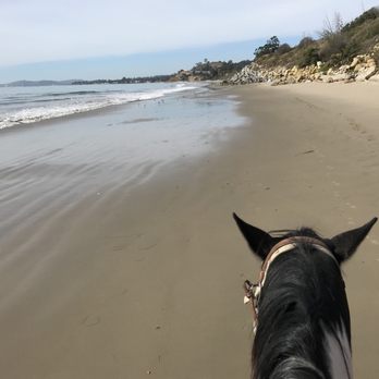 Summerland Beach Rides - Horseback Riding Near Me Summerland Beach Rides - Horseback Riding Near Me
