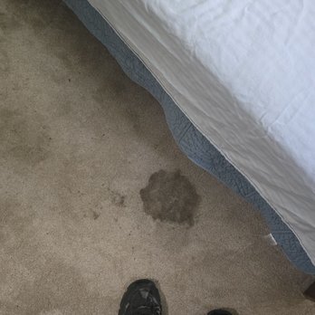 Steam Master Cleaning - Carpet Cleaning Near Me - Dallas, Texas Steam Master Cleaning - Carpet Cleaning Near Me - Dallas, Texas