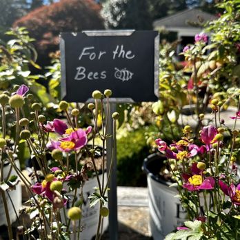 The Herbary Bear Creek Farm - Local honey - Pick Your Own Farms Near Me - Howell, New Jersey The Herbary Bear Creek Farm - Local honey - Pick Your Own Farms Near Me - Howell, New Jersey