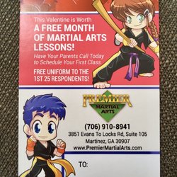 Premier Martial Arts - Advertising.