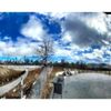 Ping Tom Memorial Park gift card