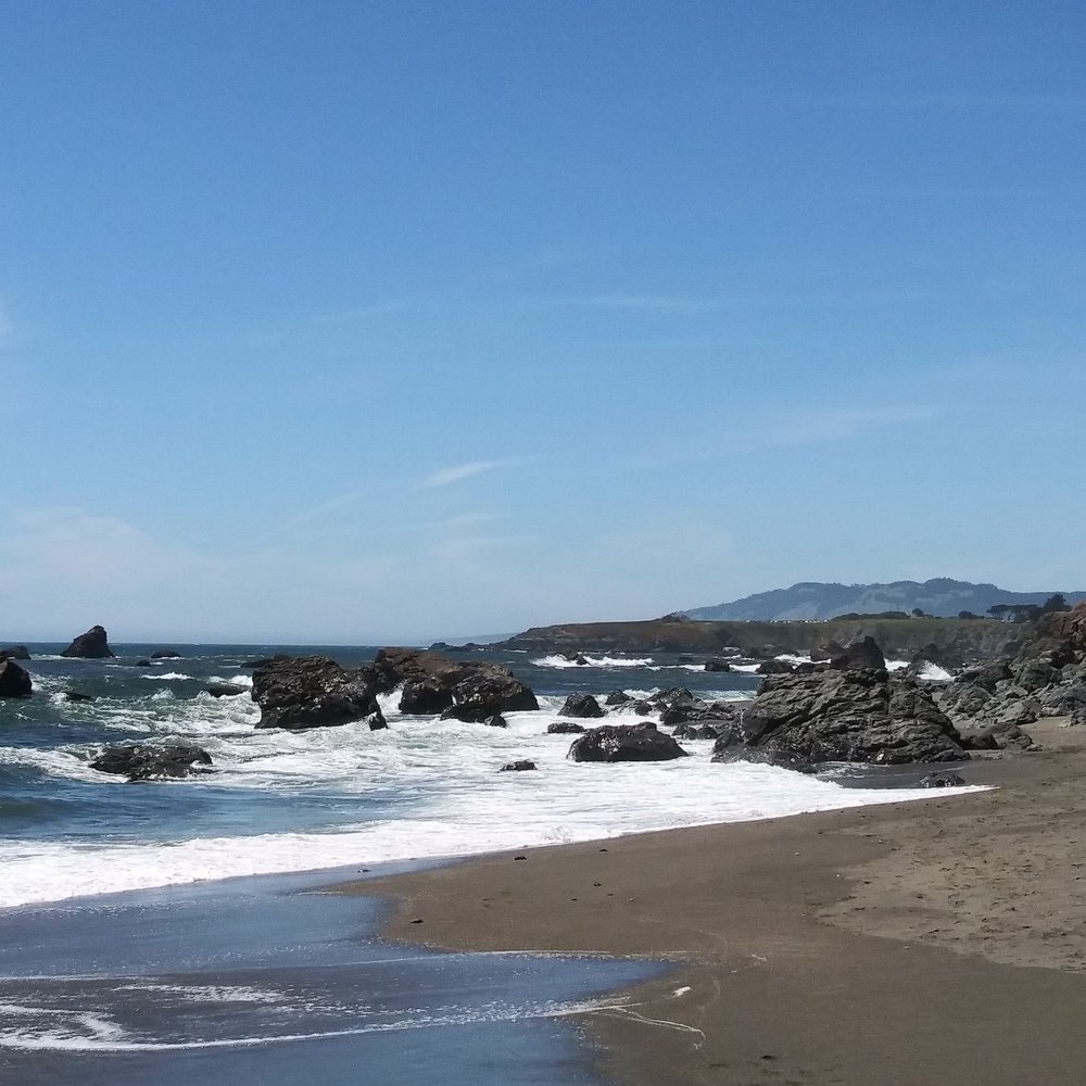 Portuguese Beach - Beaches Near Me - Bodega Bay, California Portuguese Beach - Beaches Near Me - Bodega Bay, California