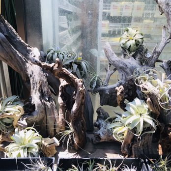 Sunset Nursery - Nurseries & Gardening Near Me - Los Angeles, California